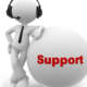 Diaspora Support Spflorin.Ro